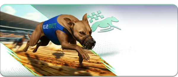 Greyhound